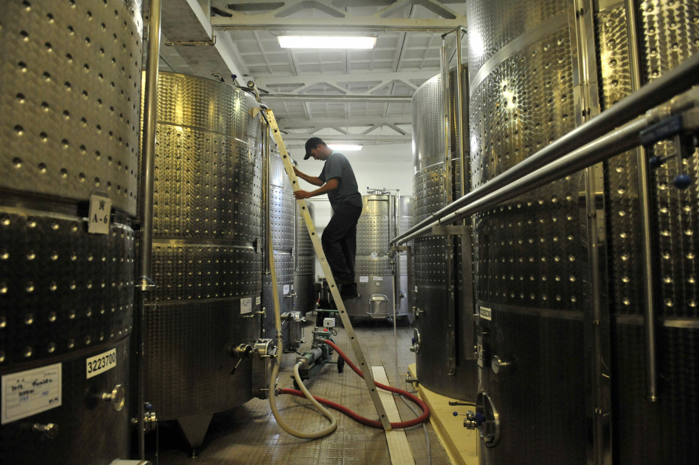 A pályázati konstrukciók összetett beruházásokra sarkallják a borászokat